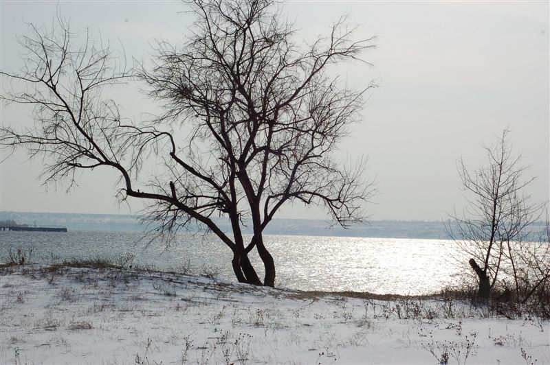 Почти графика