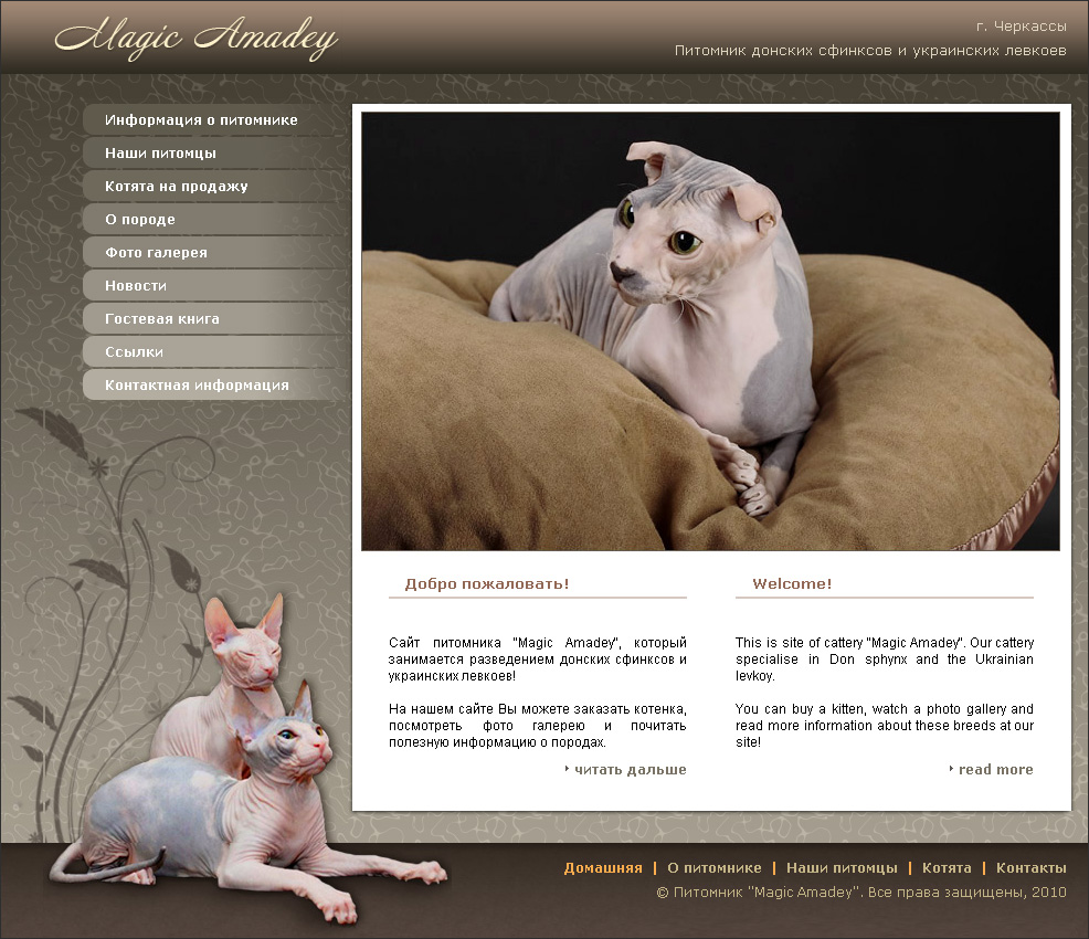 Питомник "Magic Amadey" (г. Черкассы)