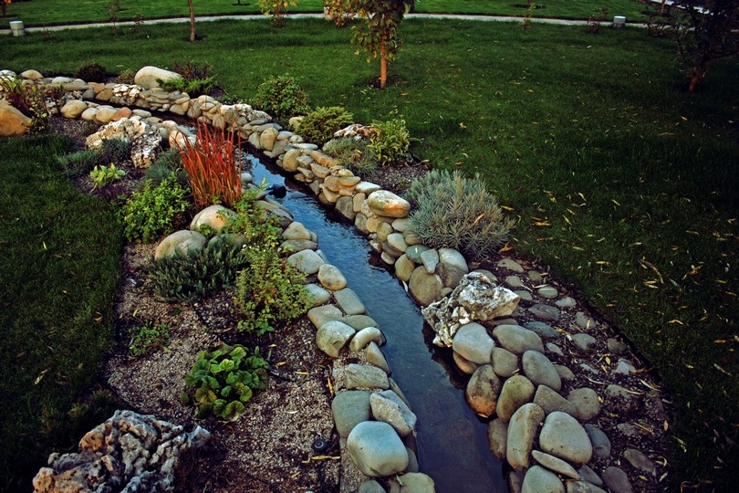 Дизайн участка