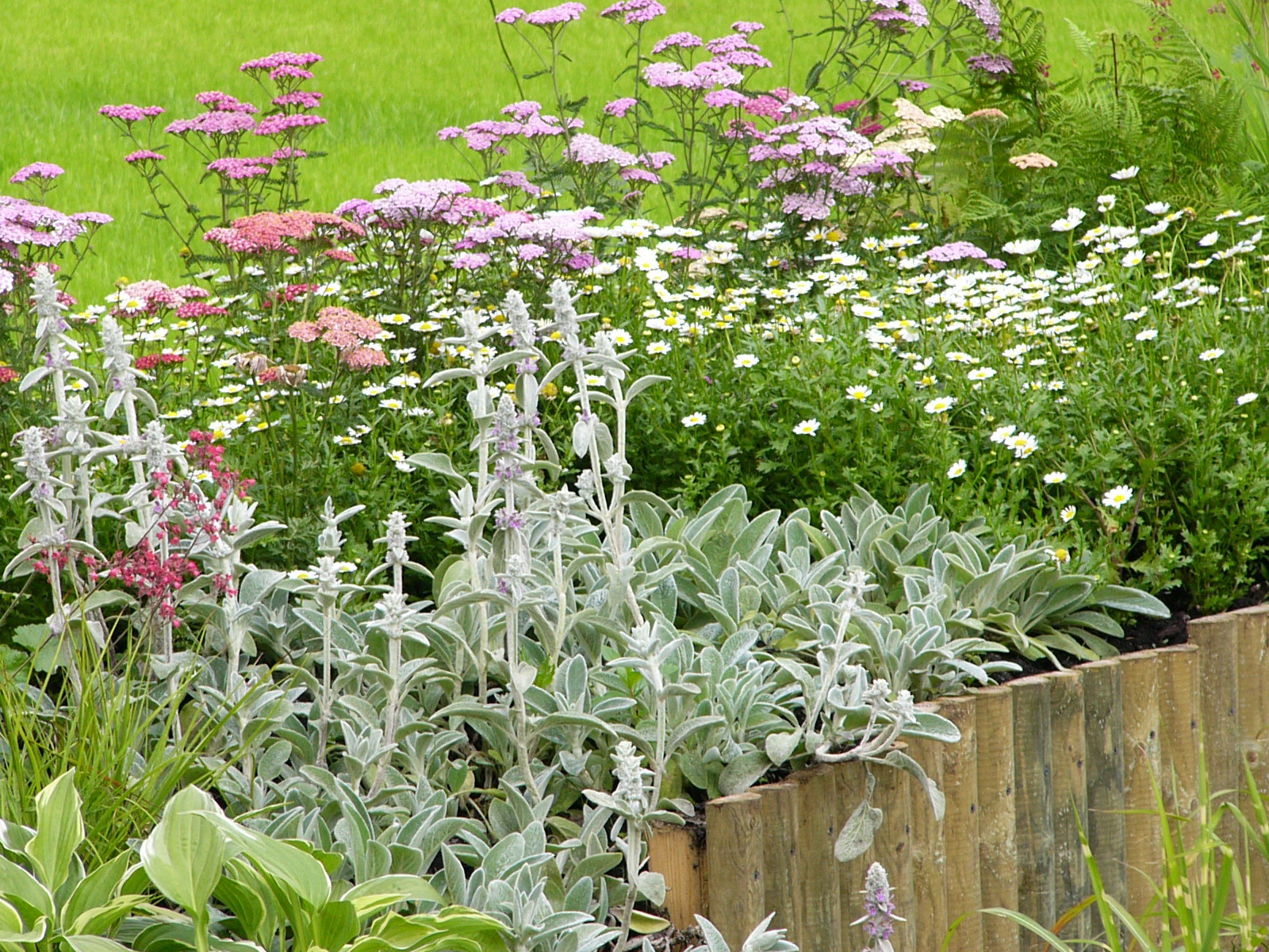 "Цветы победы", 2005 г., ВВЦ