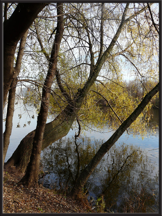 Набережная