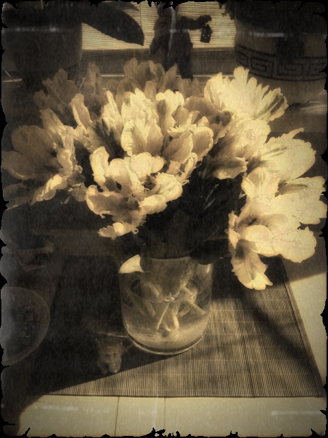 Обработанная фотография