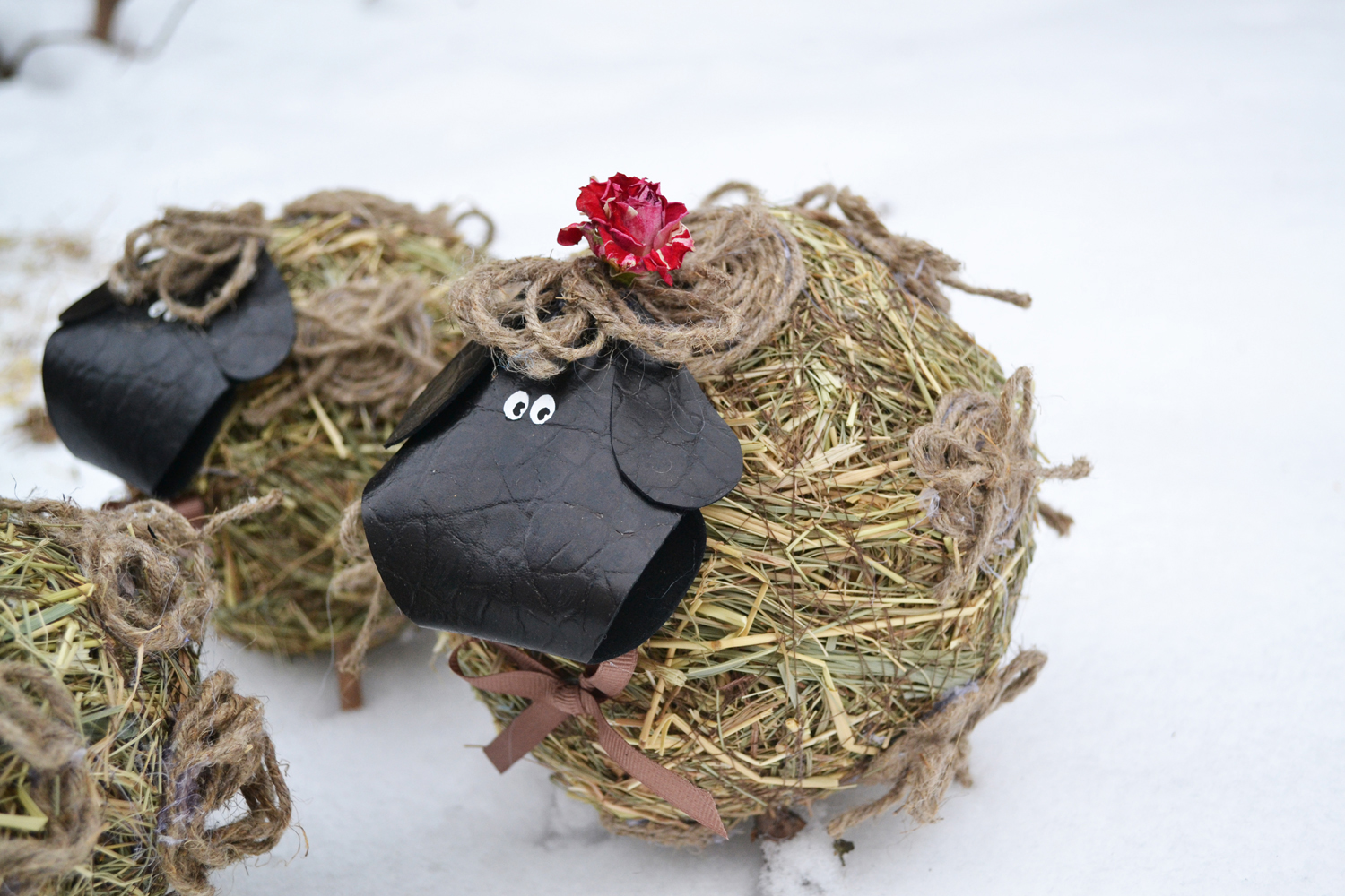 Барашки и овечки