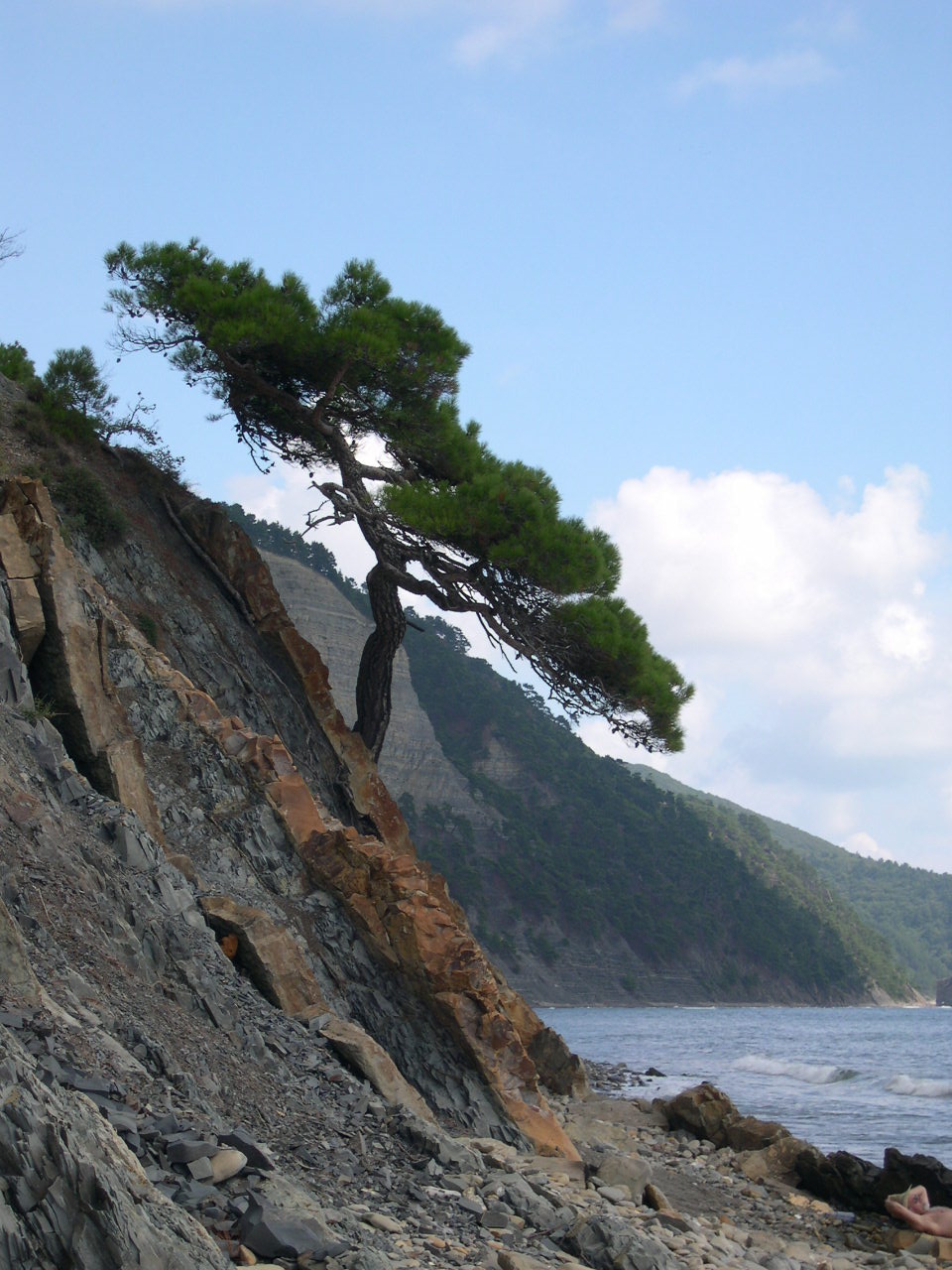 Джанхот без прикрас