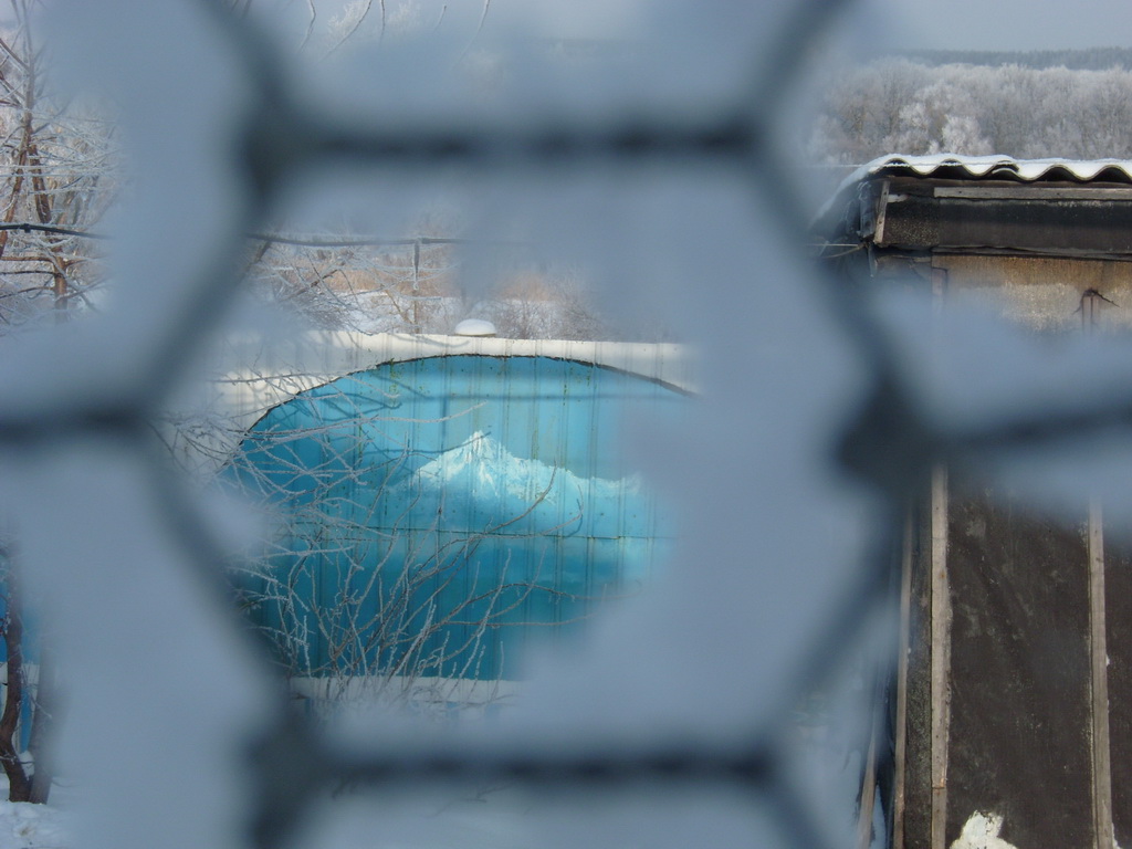 Сквозь сетку