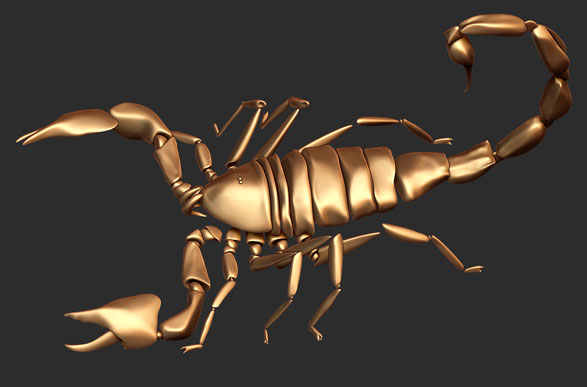 моделинг насекомого