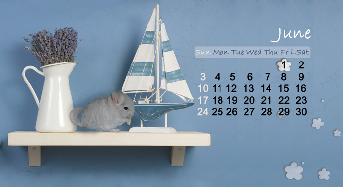 Календарь. Июнь