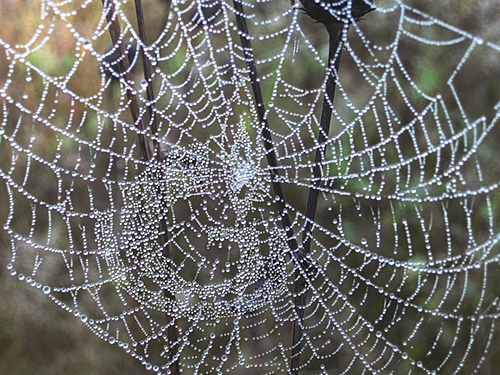 Паутина для "ГАЗПРОМНЕФТЬ-КАЛУГА"