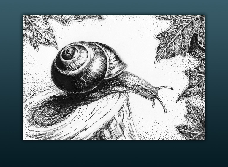 Из серии "Улитки"