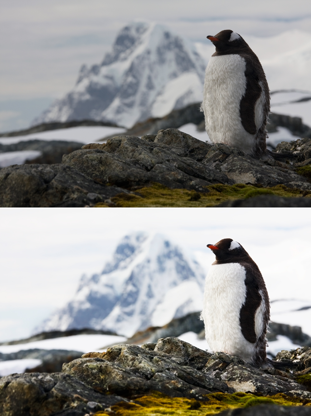 Ретушь, цветокоррекция