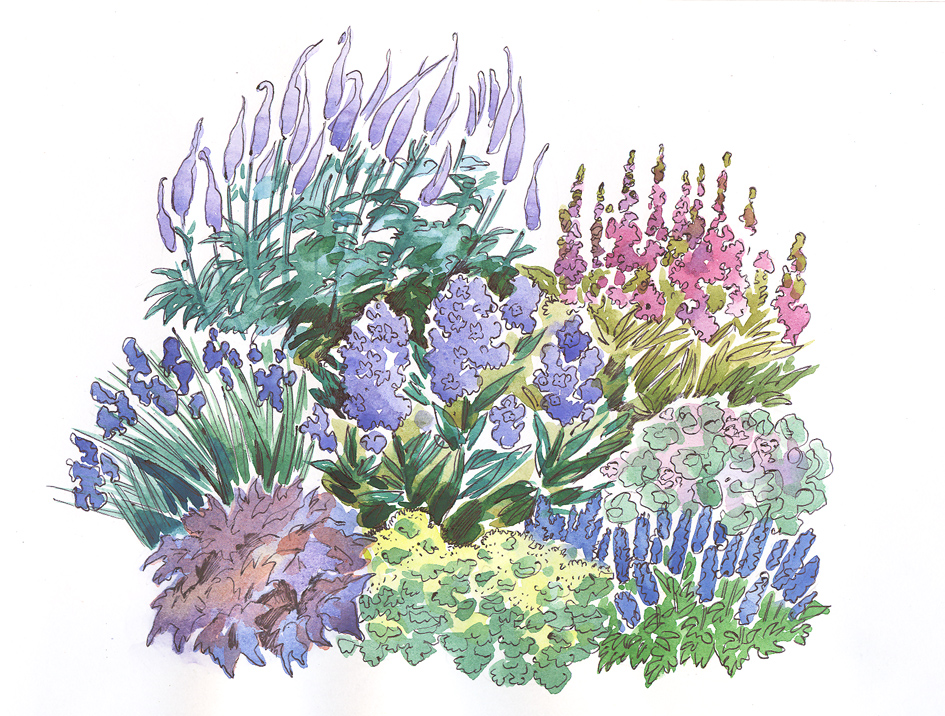 рисунок для журнала "Дом и сад"