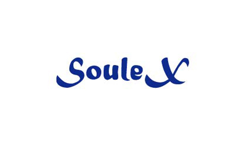 Компания SouleX