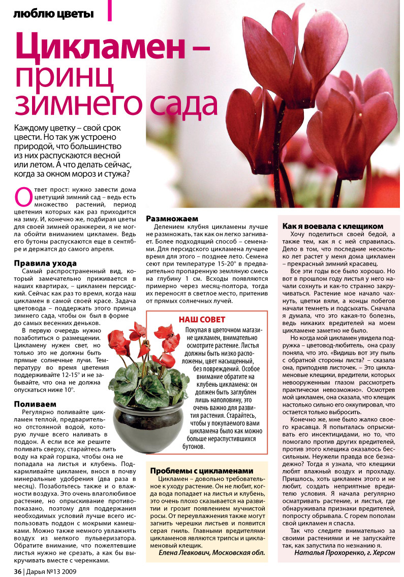 Пример верстки журнала