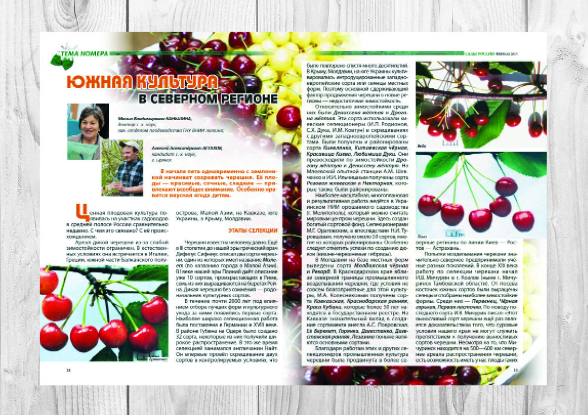 Вёрстка журнала "Сады России, примеры вёрстки.