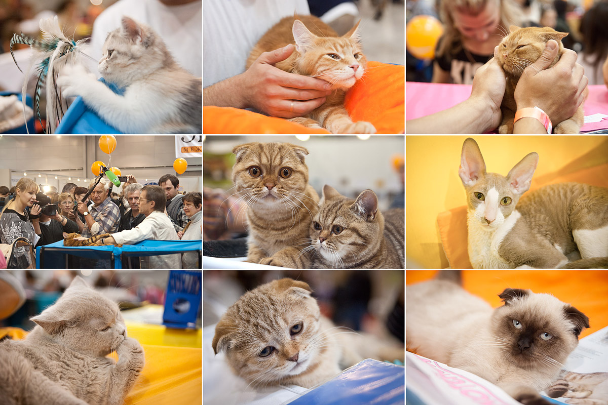 Репортажная съёмка