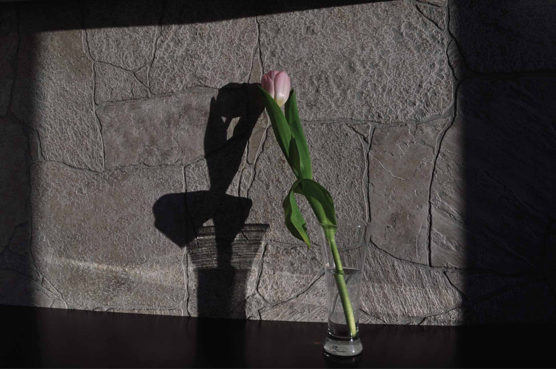 фото( курс " цвет в фотографии))