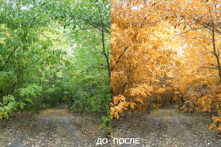 Фотообработка