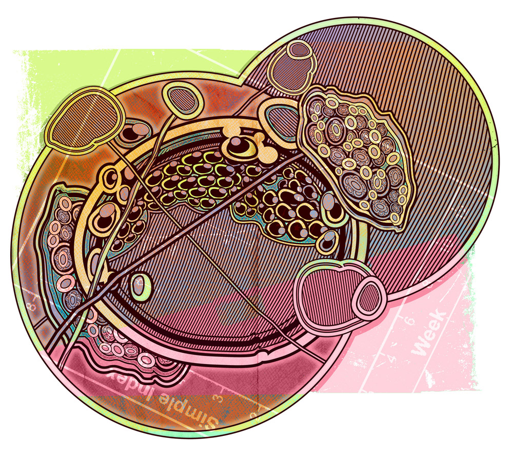 "Микробиология" иллюстрации для Maxim