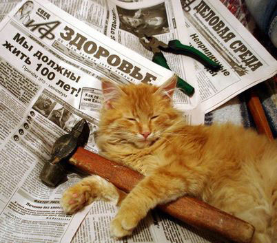 "Работа не волк. В лес не убежит..."