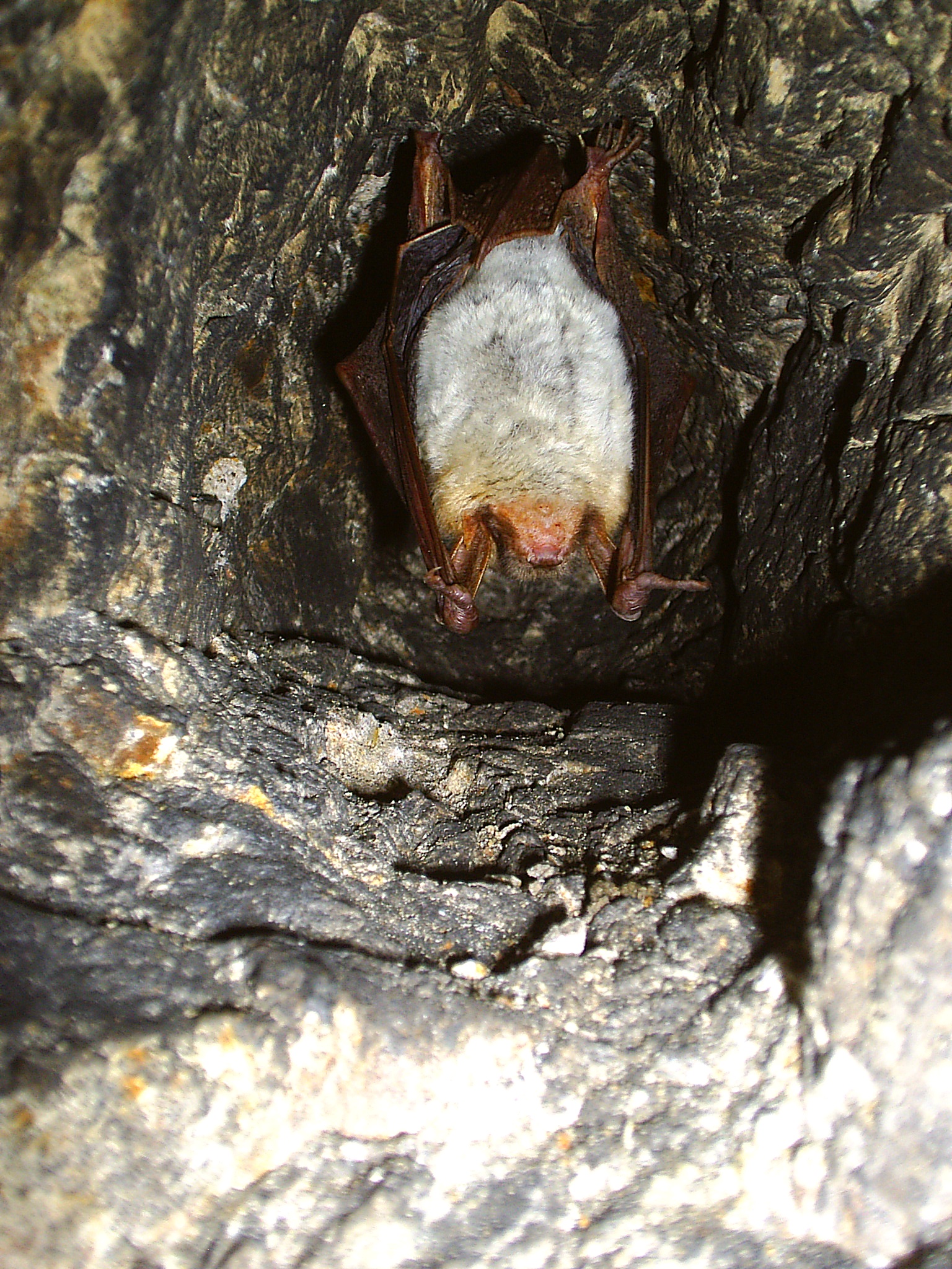 Где-то глубоко, под землей...