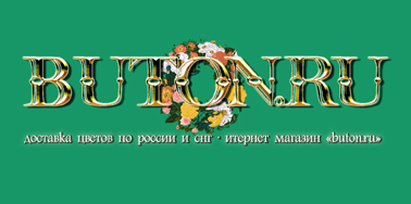 Интернет магазин