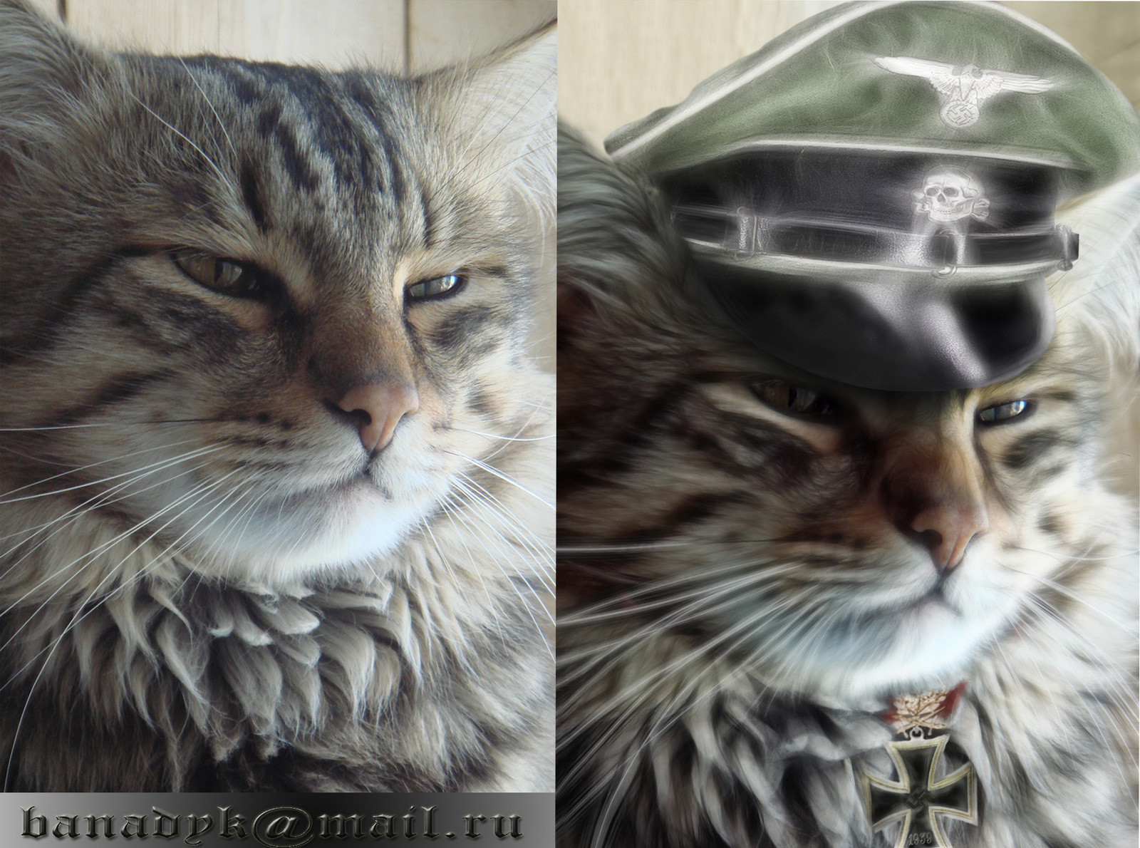 Макс Отто фон Штирлиц.