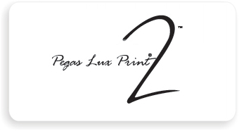Логотип для компании "Pegas Lux Print"