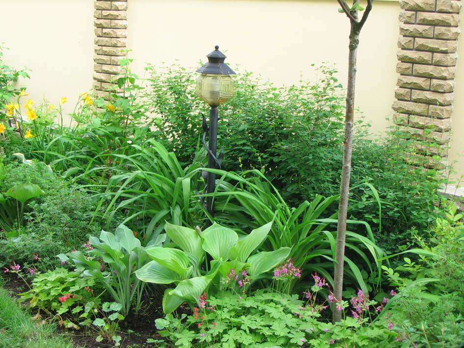 Ландшафтный дизайн