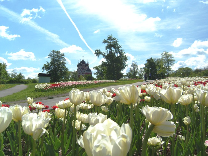 "Цветы у храма"