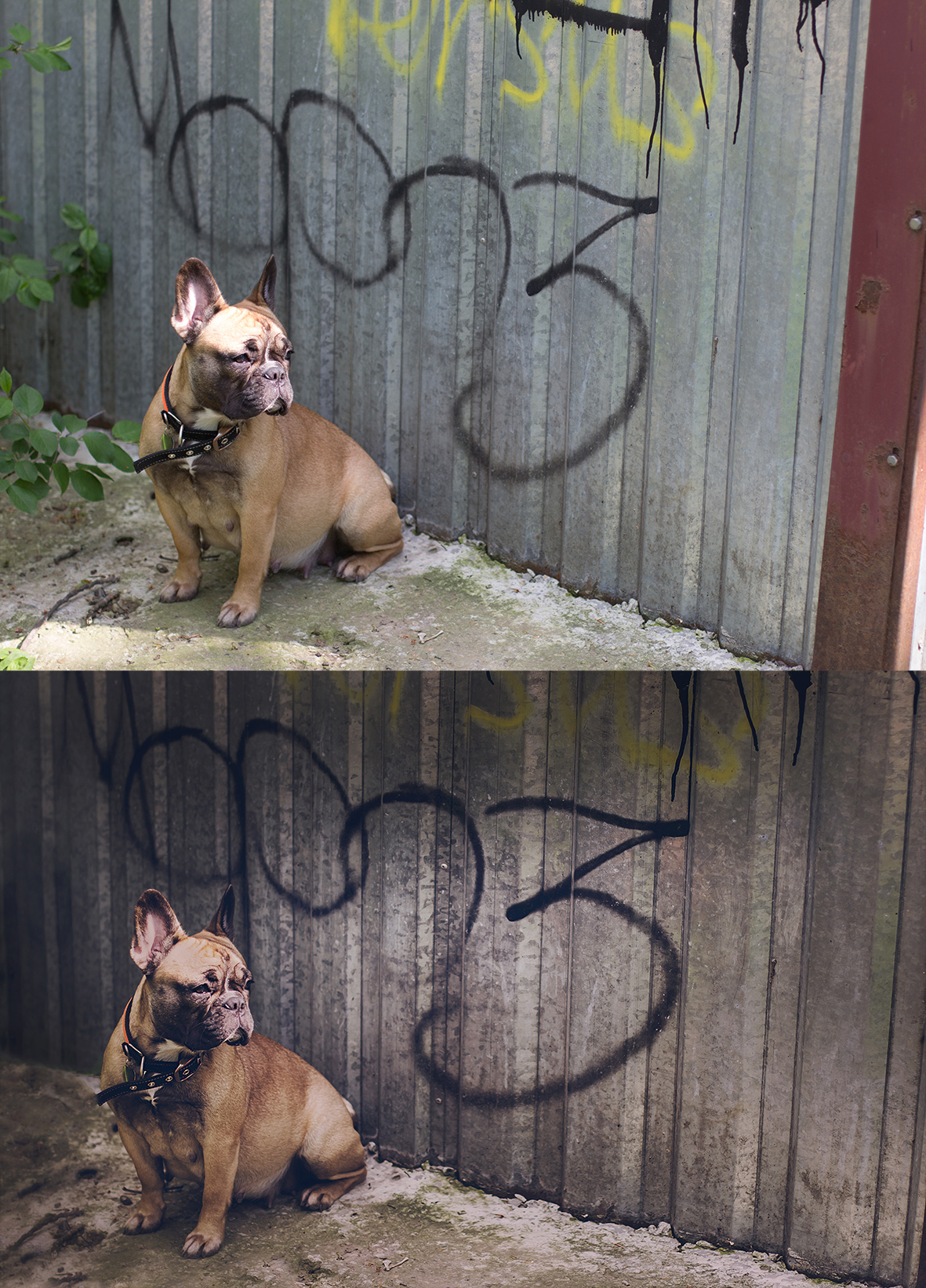 Ретушь до и после