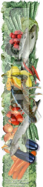 коллаж для оформления сайта