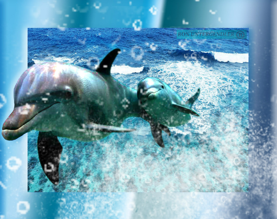 Фотошоп.Дельфины выпрыгивают за рамку.