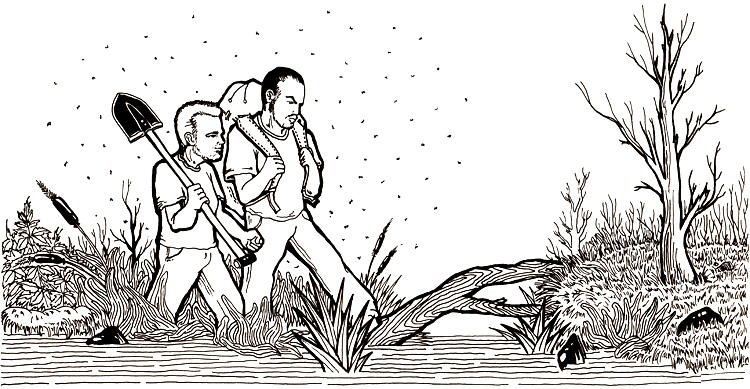 иллюстрация к рассказу