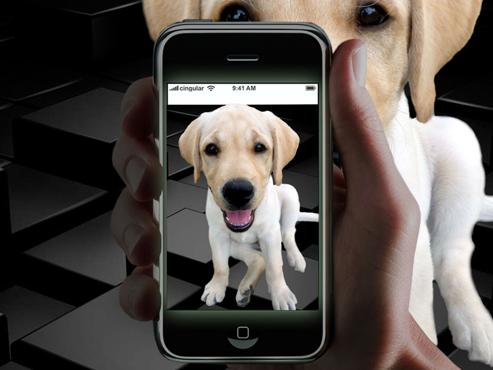 Фотошоп. Мой пёс Висмут.