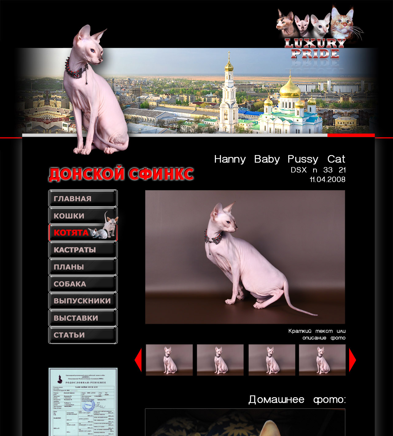 luxury-pride страница кошек 4