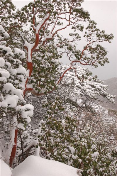 И это тоже в Ялте ;)