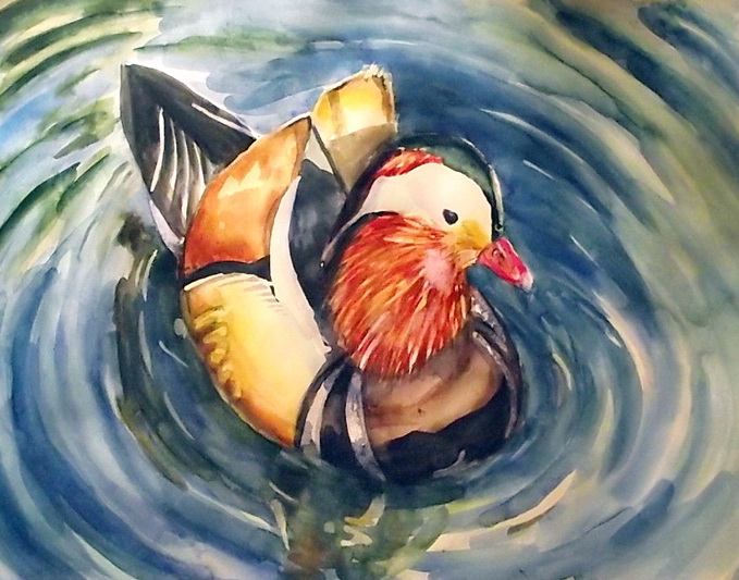 Утка мандаринка