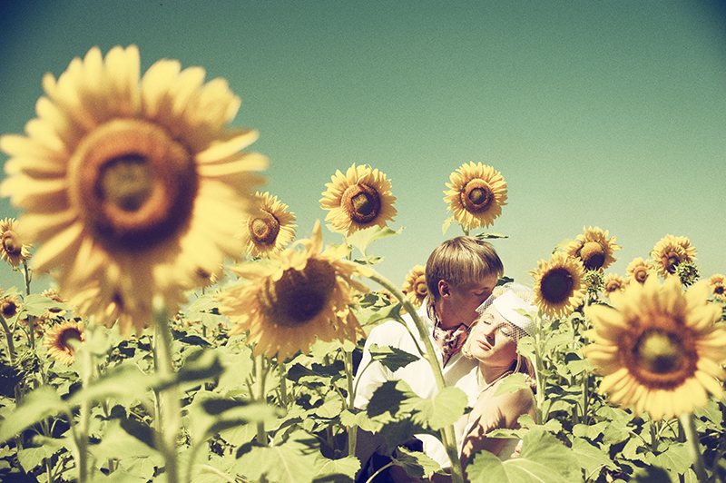 Подсолнухи