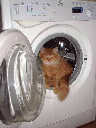 "Перед стартом. Готовность №1"