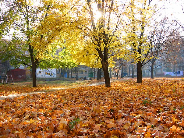 Осенний двор