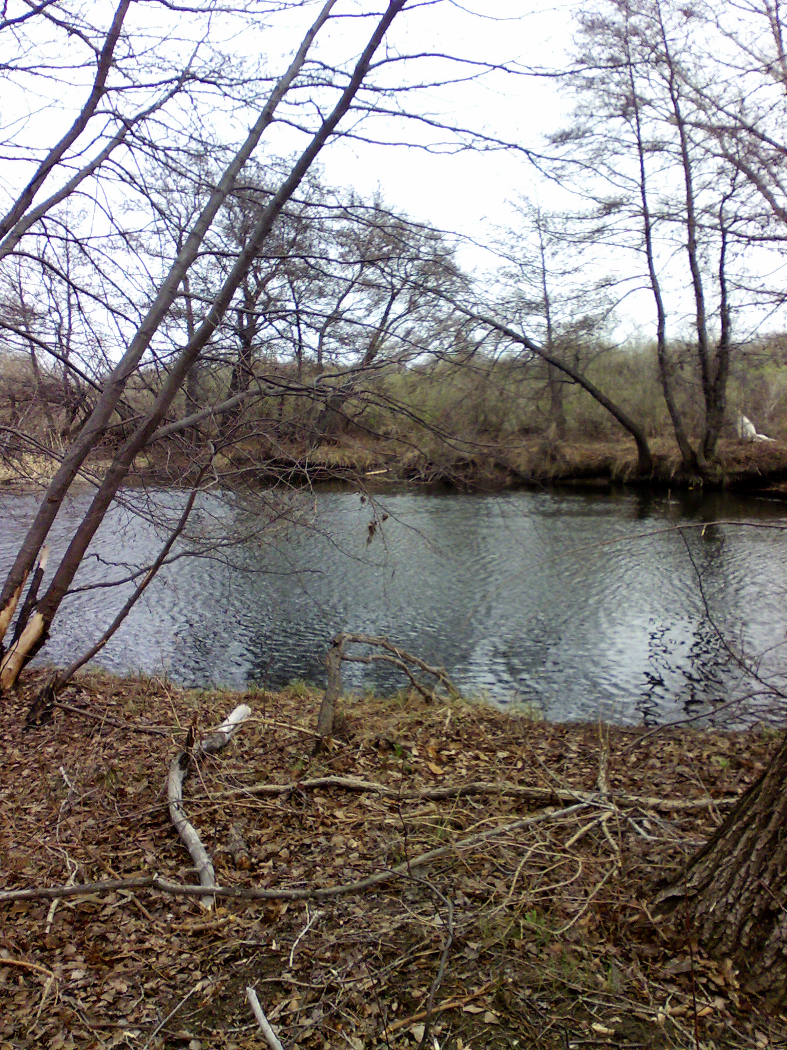 весенний пейзаж