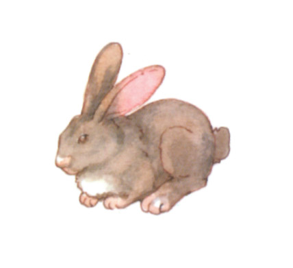 акварель "кролик"