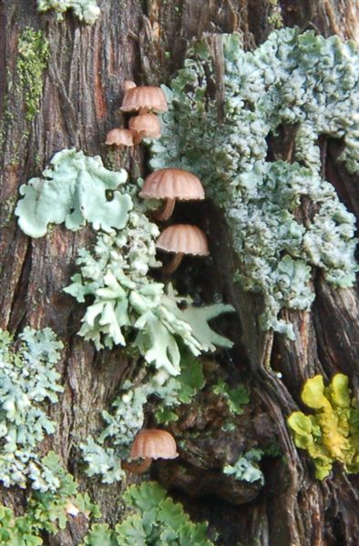 Отрада для глаз :)