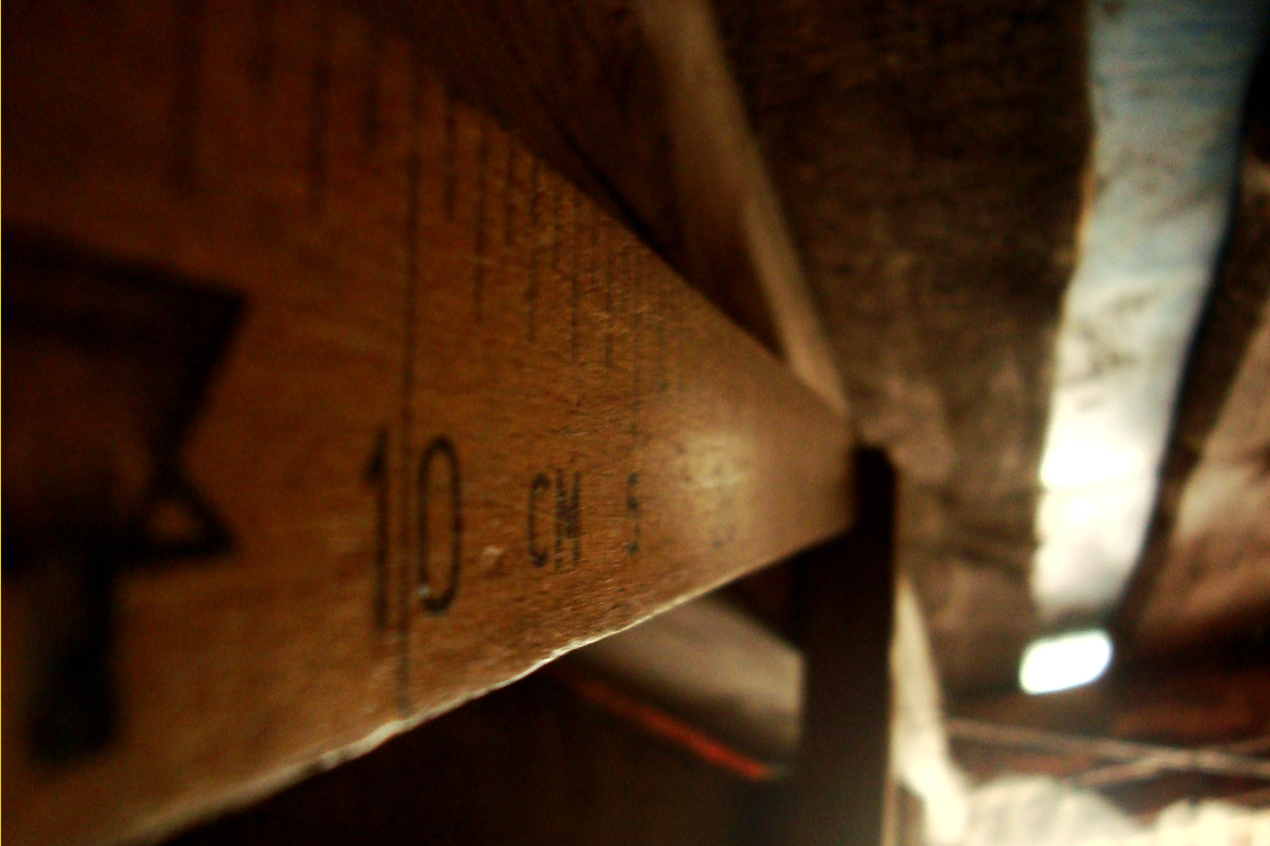 работы о дереве