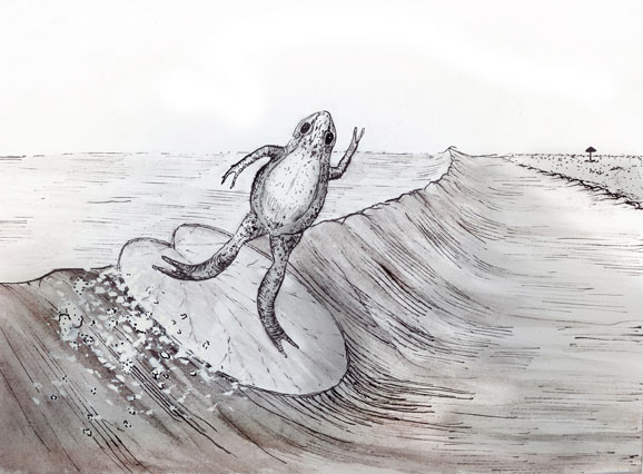 иллюстрация5