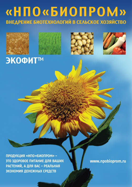 Выставочный постер