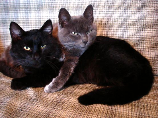 "Напряженное ожидание"