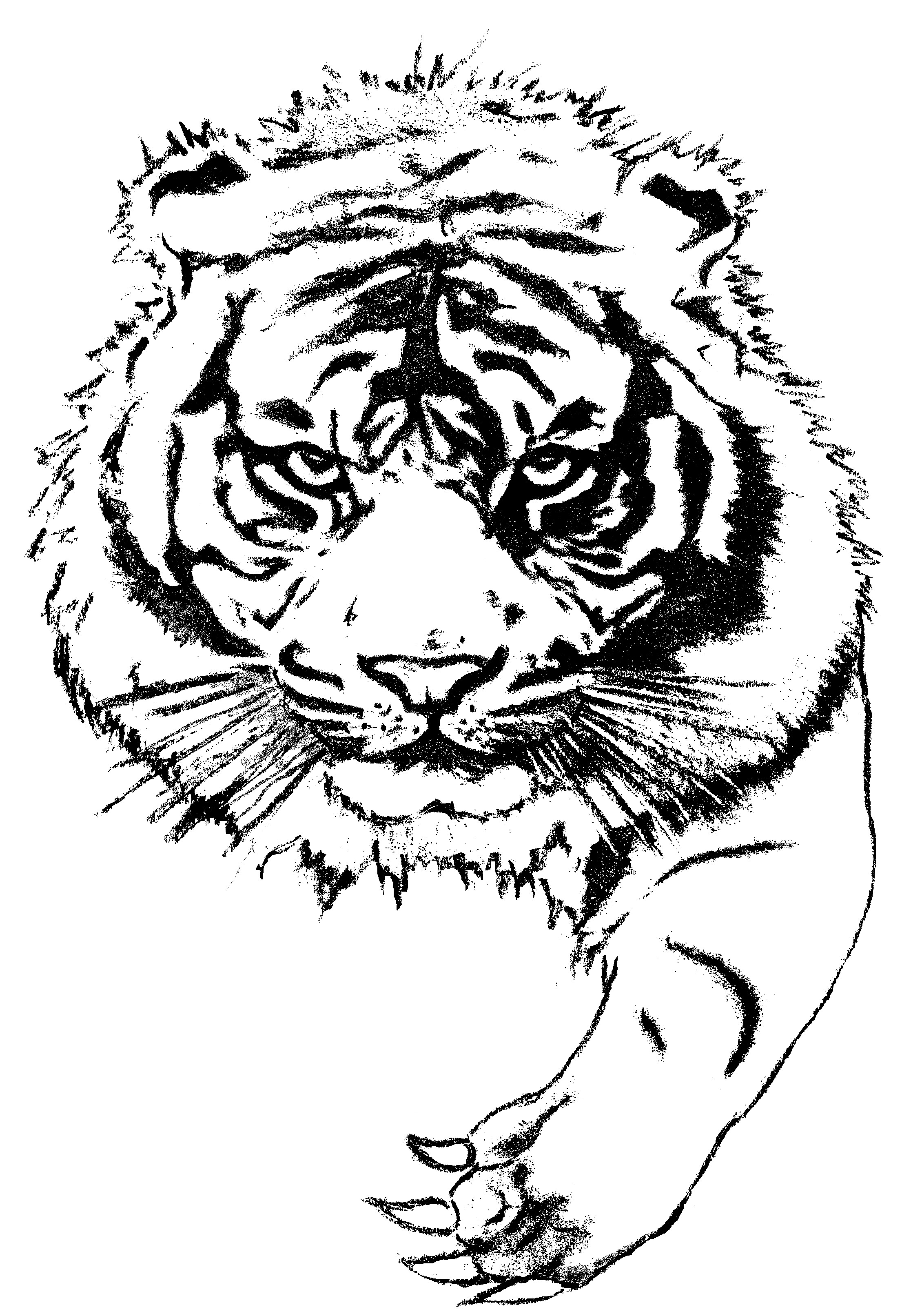 тигр на тату