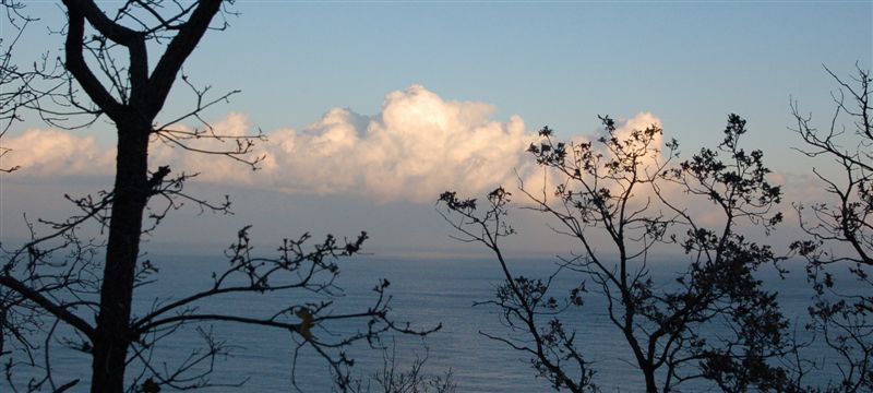 Но ты лишь облако...