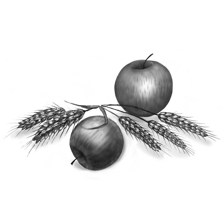 Apples ("Three Shoes in a Pair "by Edward Holden)